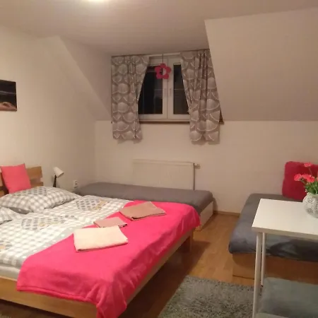 Maria 韦尔卡鲁穆尼卡